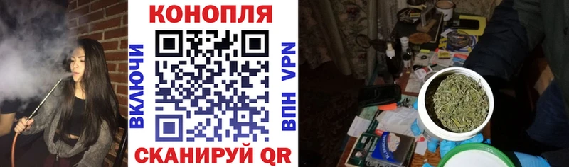 Конопля Amnesia  Купить где  Уварово 